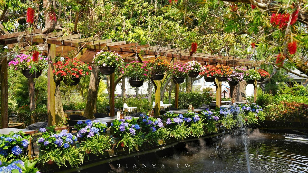 【花露農場】苗栗必訪賞花景點，繡球花季夢幻登場，2萬株花海搭配歐風造景，必嚐繡球花霜淇淋
