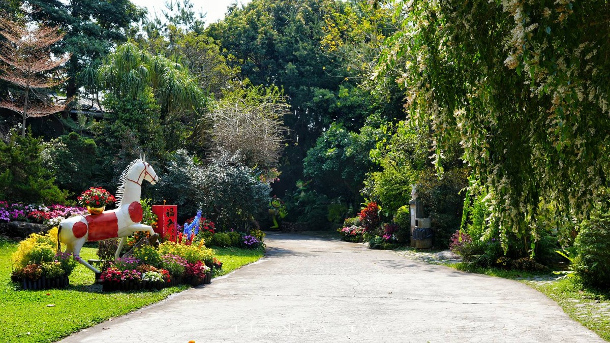 【花露農場】苗栗必訪賞花景點，繡球花季夢幻登場，2萬株花海搭配歐風造景，必嚐繡球花霜淇淋