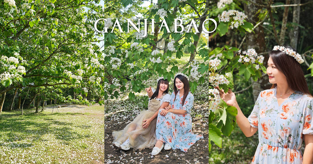 【甘家堡生態休閒園區】藏身私宅裡的桐花秘境，每年短暫開放兩週賞浪漫四月雪 @下一站，天涯