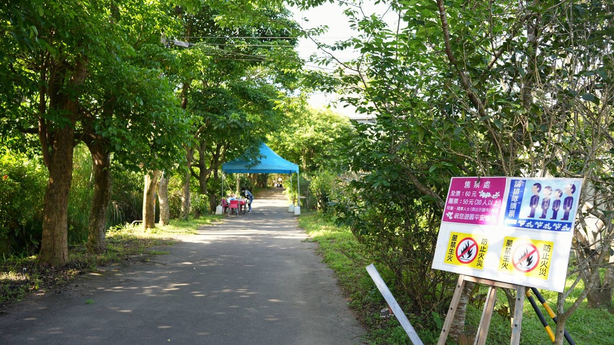 【甘家堡生態休閒園區】藏身私宅裡的桐花秘境，每年短暫開放兩週賞浪漫四月雪