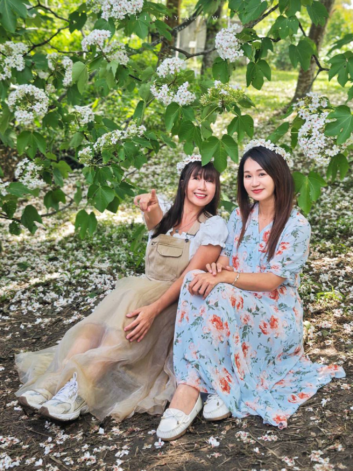 【甘家堡生態休閒園區】藏身私宅裡的桐花秘境，每年短暫開放兩週賞浪漫四月雪