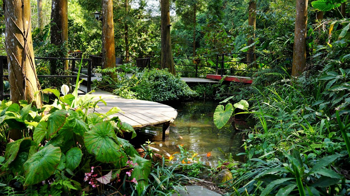 【卓也小屋渡假園區】台式農村桃花源,藍染體驗與森林系秘境一日遊 【卓也小屋渡假園區】台式農村桃花源,藍染體驗與森林系秘境一日遊