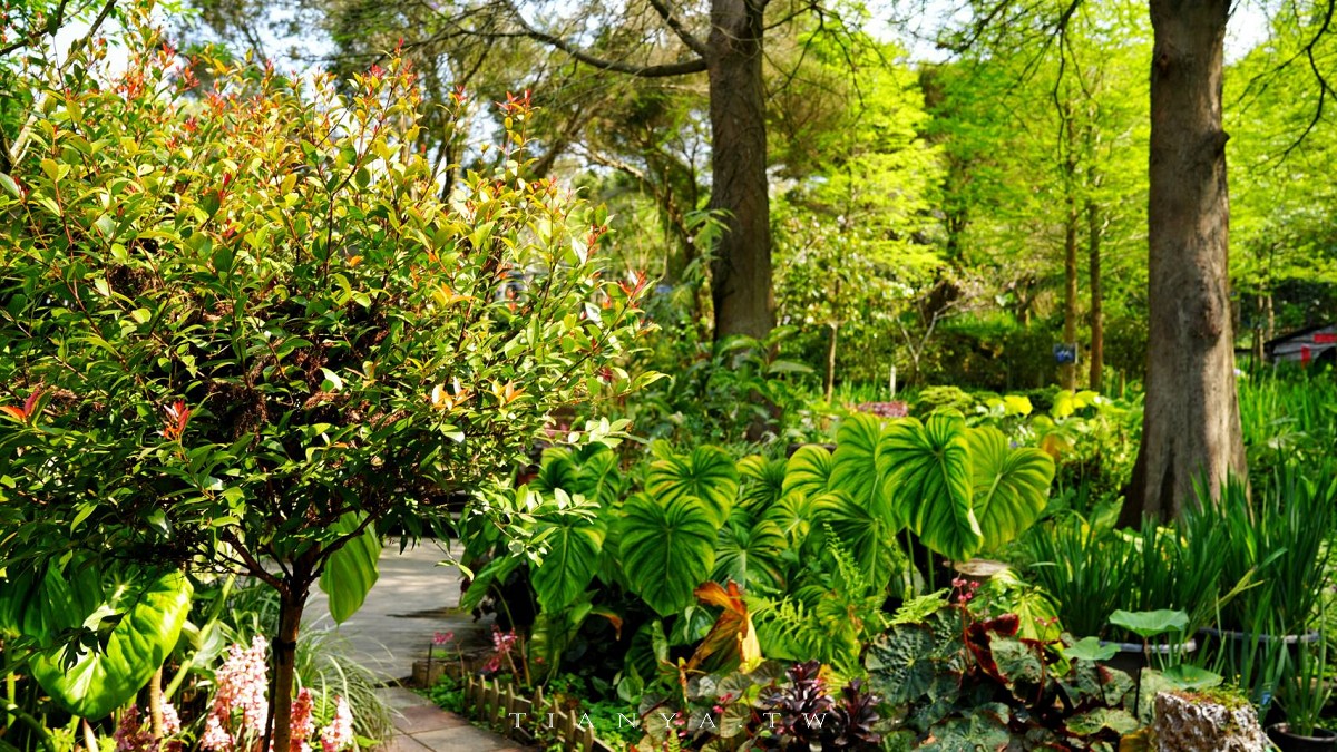 【卓也小屋渡假園區】台式農村桃花源,藍染體驗與森林系秘境一日遊 【卓也小屋渡假園區】台式農村桃花源,藍染體驗與森林系秘境一日遊