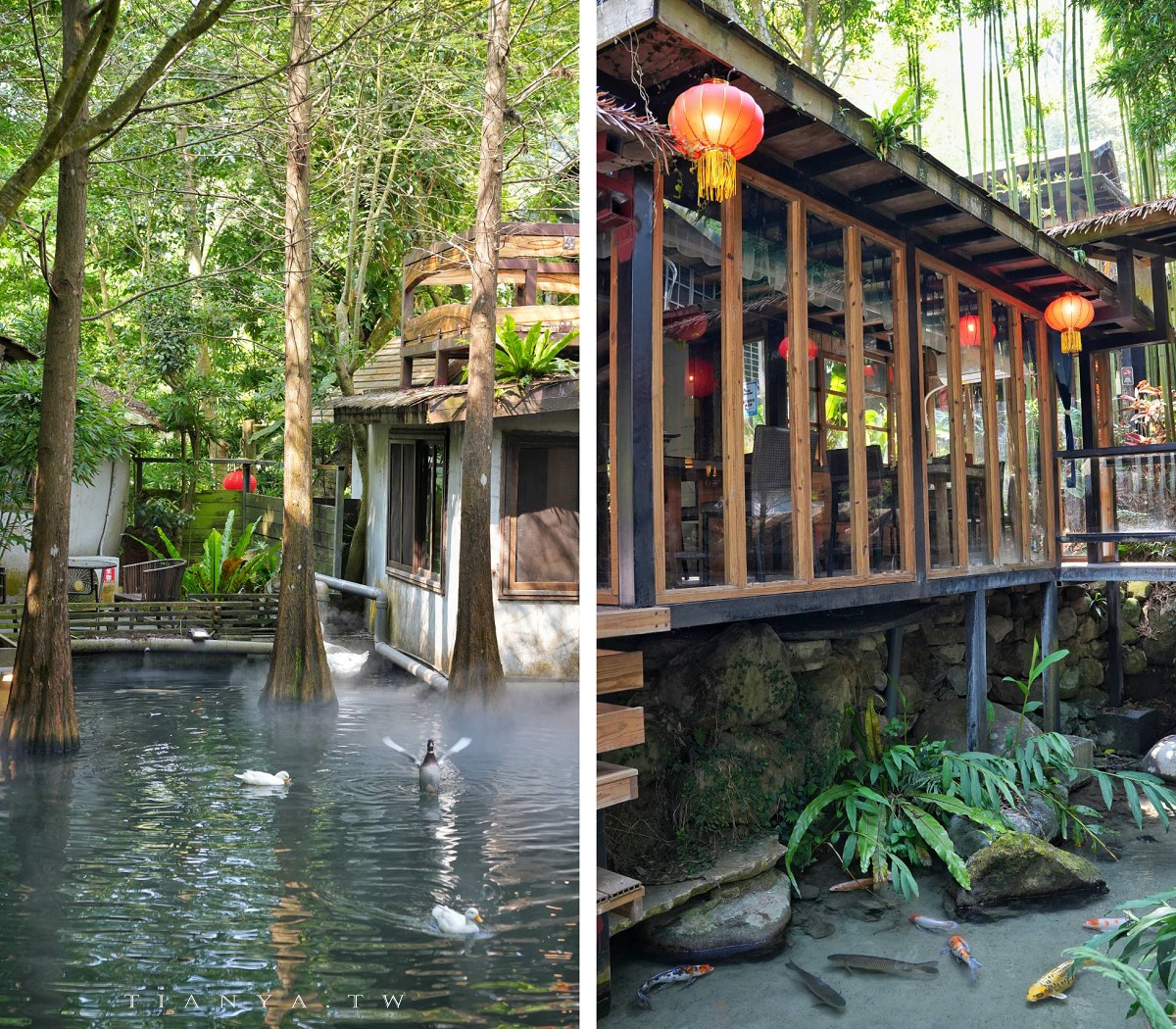 【卓也小屋渡假園區】台式農村桃花源,藍染體驗與森林系秘境一日遊 【卓也小屋渡假園區】台式農村桃花源,藍染體驗與森林系秘境一日遊