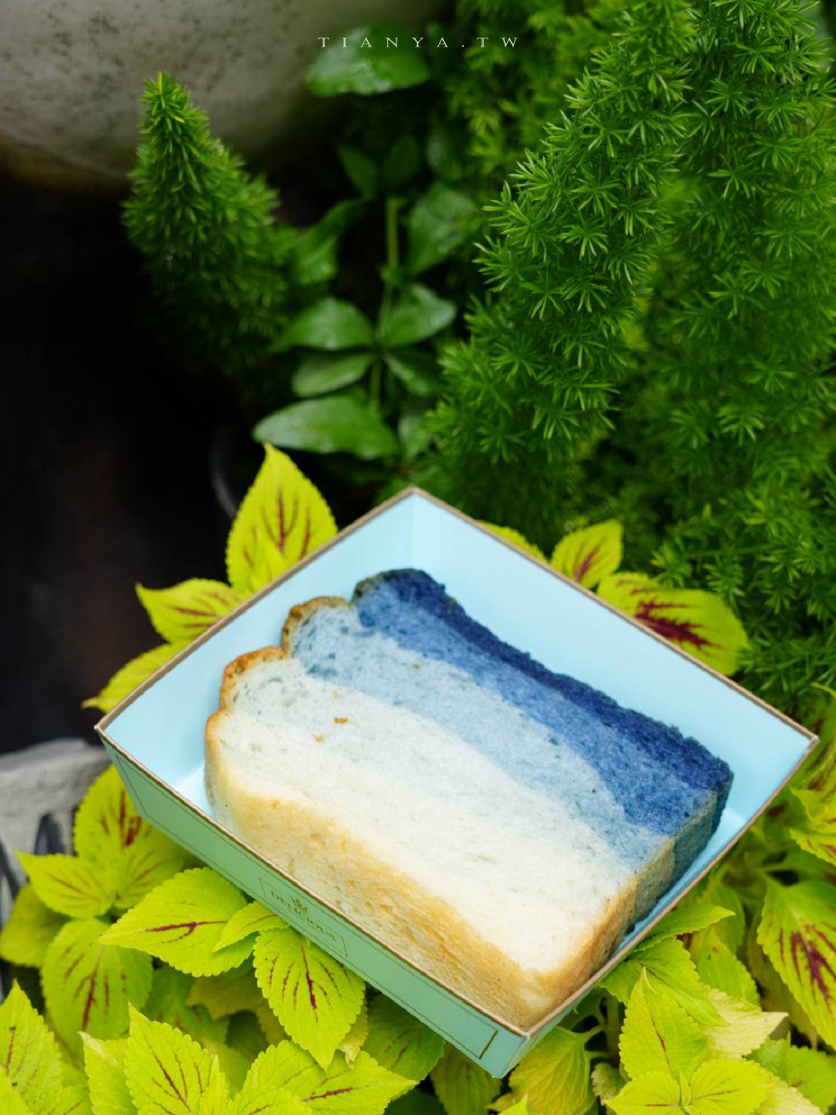 【卓也小屋渡假園區】台式農村桃花源,藍染體驗與森林系秘境一日遊 【卓也小屋渡假園區】台式農村桃花源,藍染體驗與森林系秘境一日遊