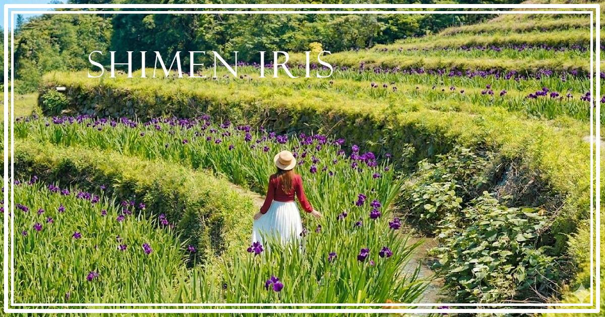 【石門嵩山百年梯田】全台唯一百年石砌梯田，隱藏版賞花秘境，春天限定鳶尾花季夢幻登場 @下一站，天涯