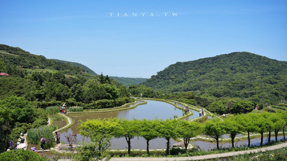 【石門嵩山百年梯田】全台唯一百年石砌梯田，隱藏版賞花秘境，春天限定鳶尾花季夢幻登場