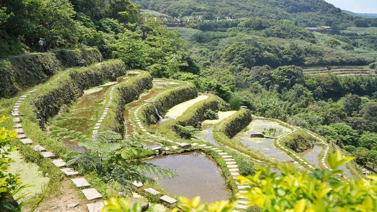【石門嵩山百年梯田】全台唯一百年石砌梯田，隱藏版賞花秘境，春天限定鳶尾花季夢幻登場