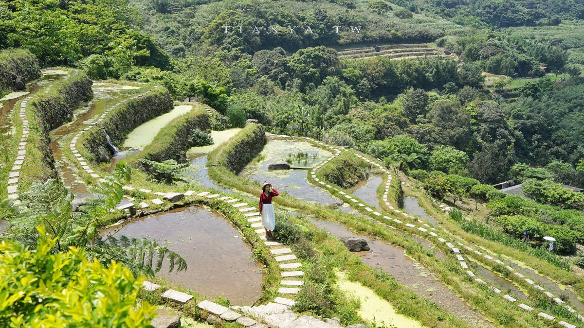 【石門嵩山百年梯田】全台唯一百年石砌梯田，隱藏版賞花秘境，春天限定鳶尾花季夢幻登場