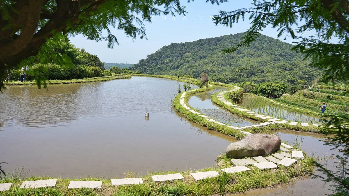 【石門嵩山百年梯田】全台唯一百年石砌梯田，隱藏版賞花秘境，春天限定鳶尾花季夢幻登場