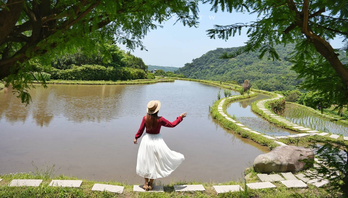 【石門嵩山百年梯田】全台唯一百年石砌梯田，隱藏版賞花秘境，春天限定鳶尾花季夢幻登場