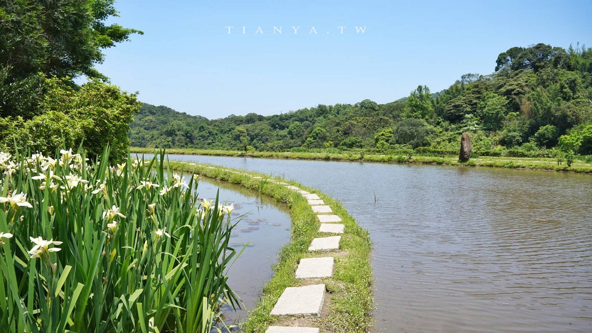 【石門嵩山百年梯田】全台唯一百年石砌梯田，隱藏版賞花秘境，春天限定鳶尾花季夢幻登場
