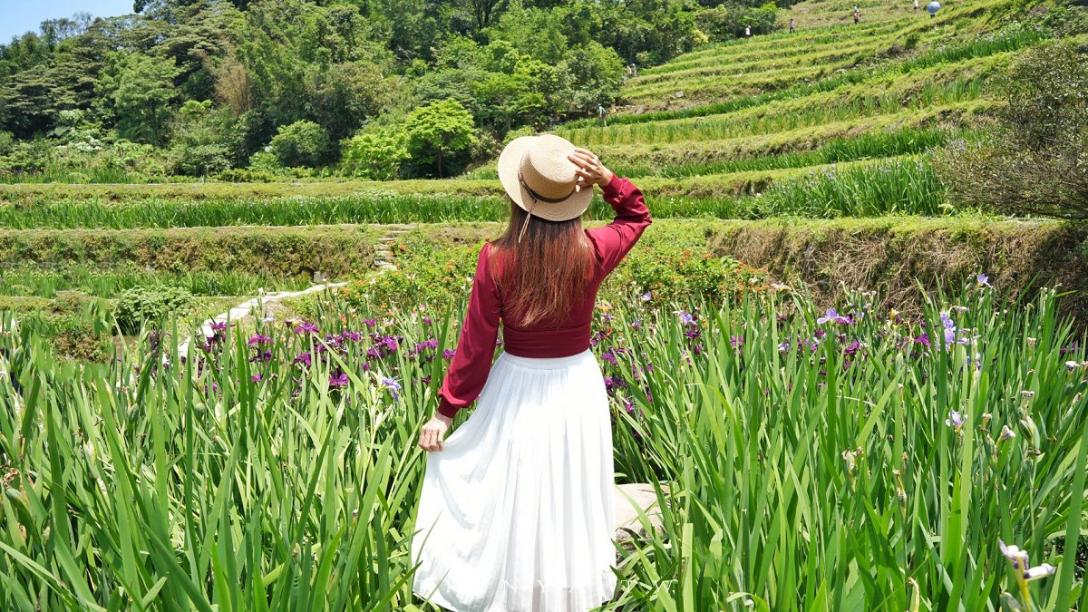 【石門嵩山百年梯田】全台唯一百年石砌梯田，隱藏版賞花秘境，春天限定鳶尾花季夢幻登場