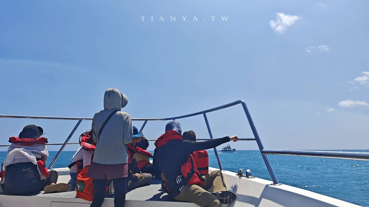 花蓮觀光漁港私房玩法大公開！認識海洋生態、出海賞鯨豚、大啖魚市現流海產，半天暢遊東岸海洋新視野