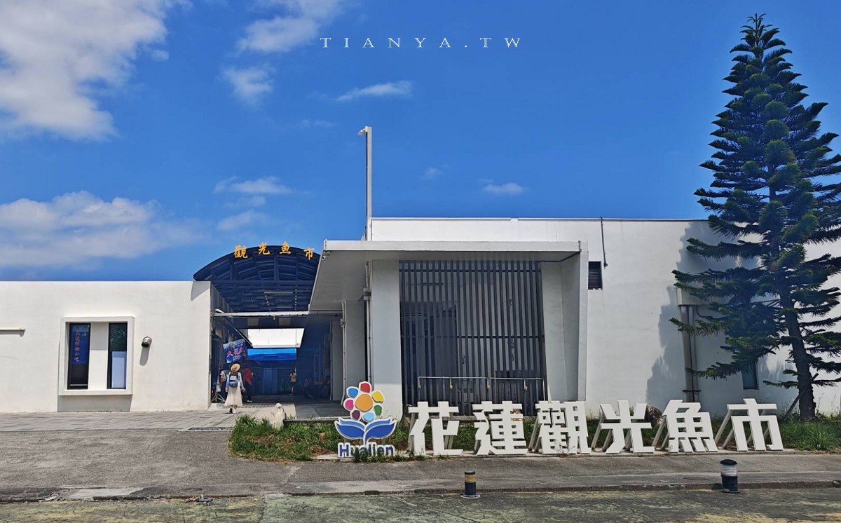 花蓮觀光漁港私房玩法大公開！認識海洋生態、出海賞鯨豚、大啖魚市現流海產，半天暢遊東岸海洋新視野