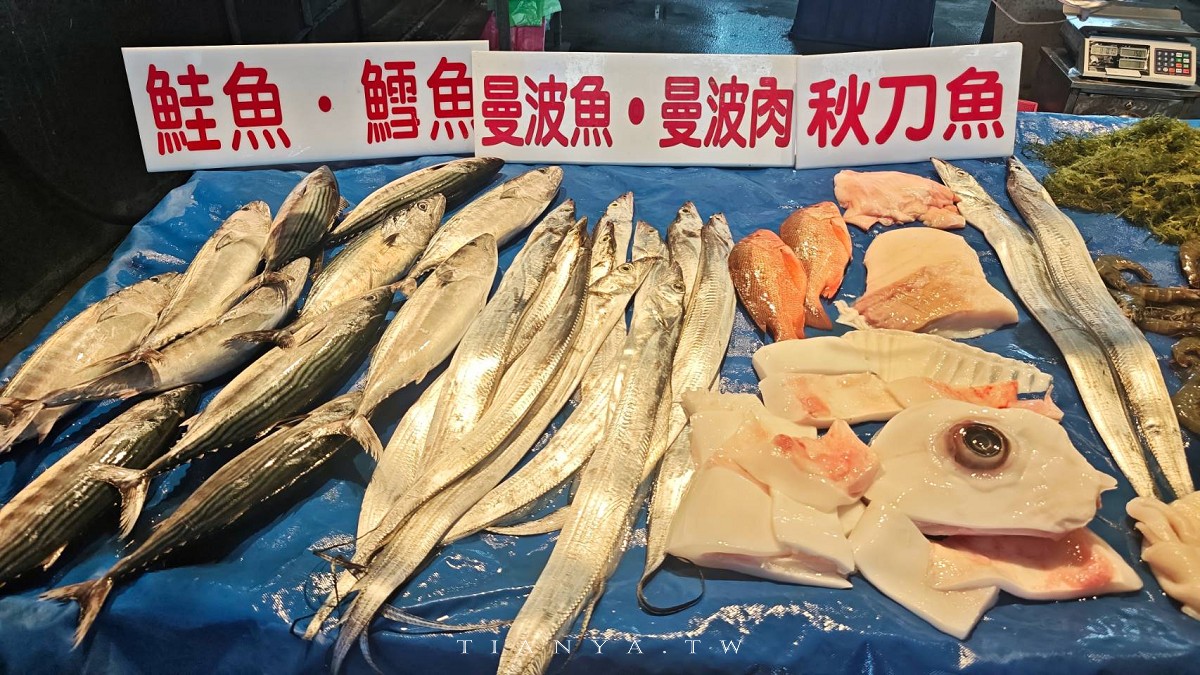 花蓮觀光漁港私房玩法大公開！認識海洋生態、出海賞鯨豚、大啖魚市現流海產，半天暢遊東岸海洋新視野
