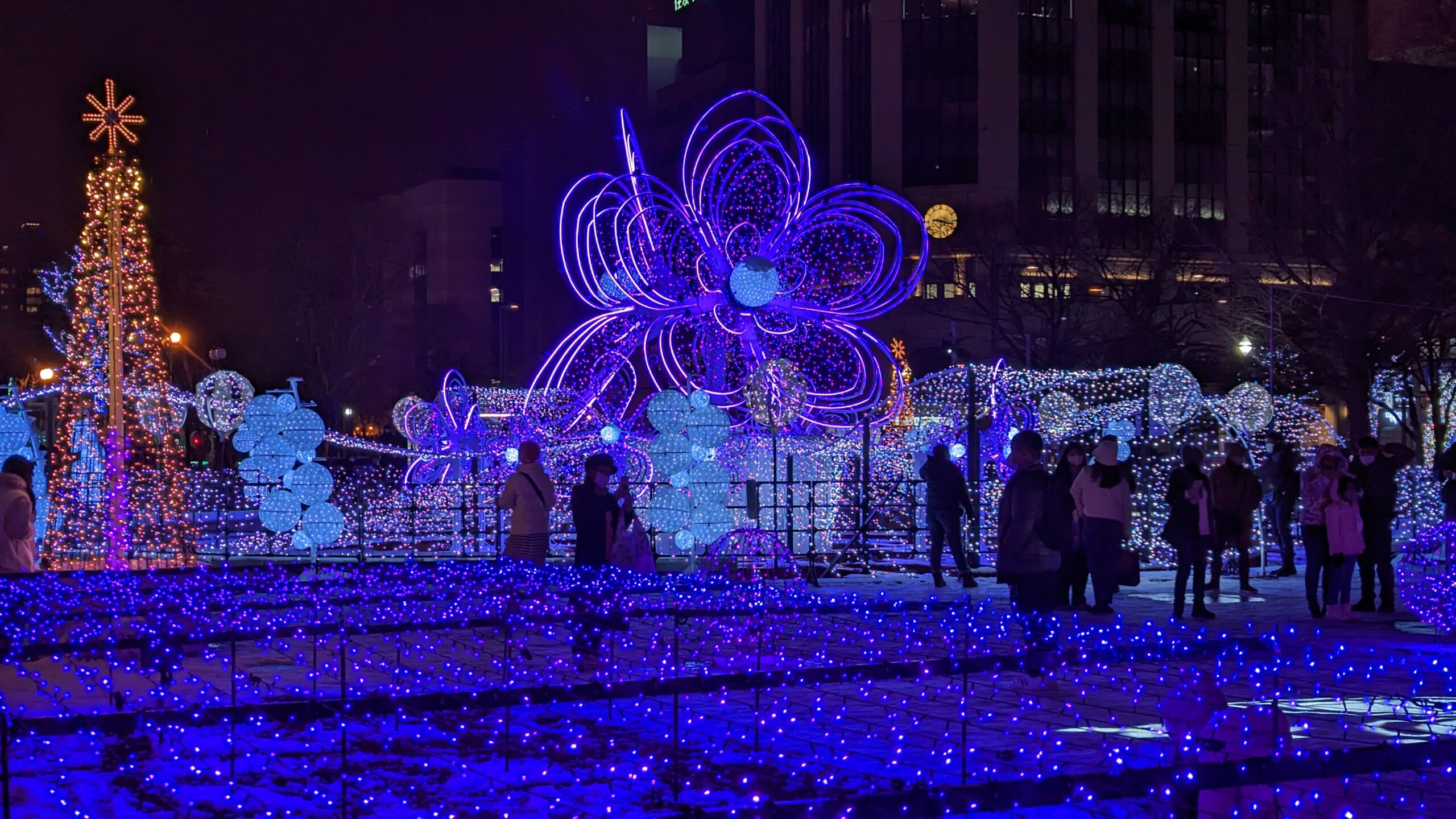 【日本活動】札幌白色燈樹節，全日本最早的聖誕燈會，相約到冰雪世界賞夢幻燈海