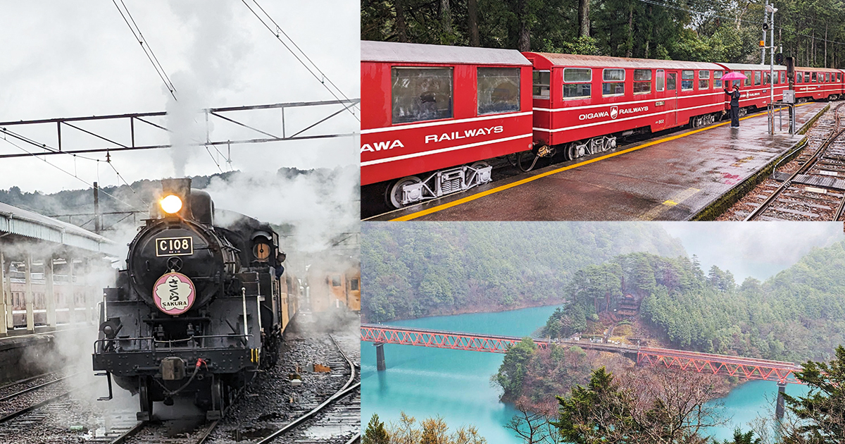 【日本行程】搭上大井川鐵道百年觀光列車，走訪櫻花秘境、浮島車站、夢之吊橋、寸又峽溫泉
