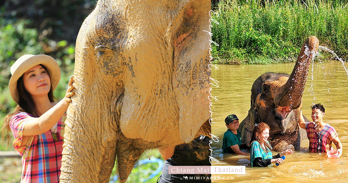 【泰國體驗】清邁大象自然保護區半日遊，陪大象洗澡玩泥巴，近距離親近大象 @下一站，天涯