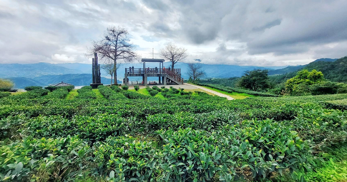 【宜蘭景點】玉蘭茶園｜到山上茶園泡壺茶，居高臨下飽覽蘭陽風光的私房秘境 @下一站，天涯